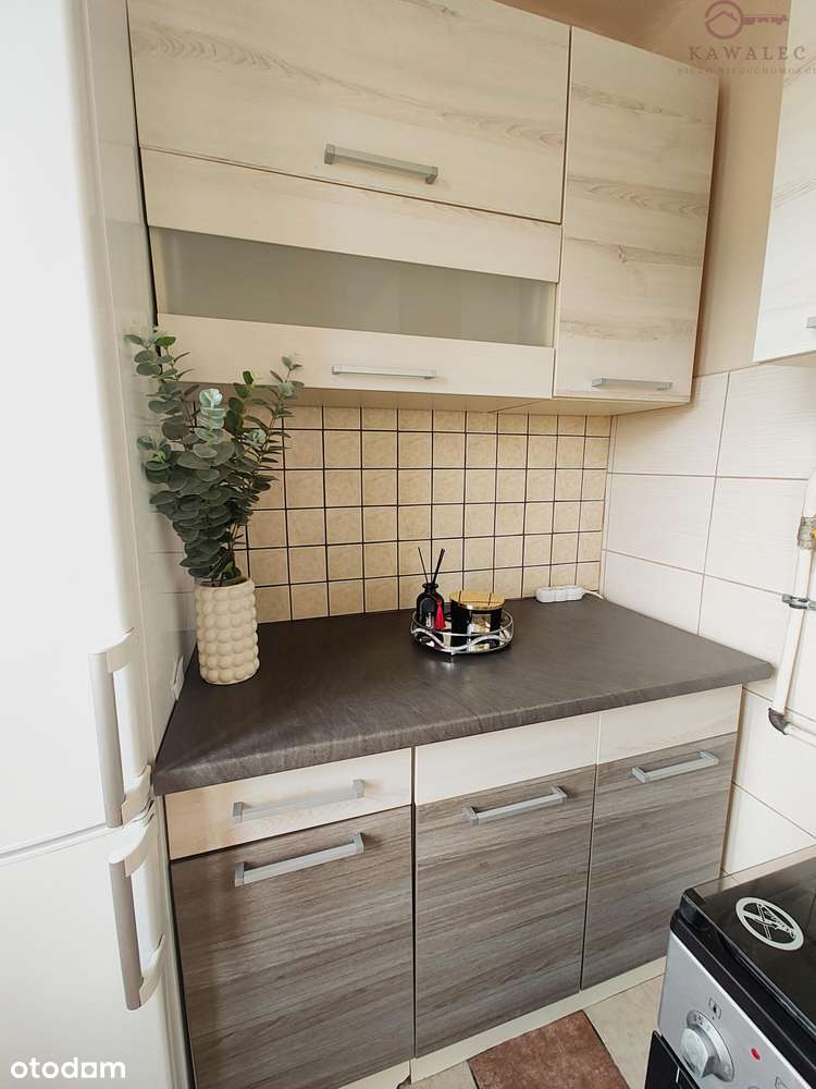 Komfortowe i przestronne mieszkanie w ścisłym centrum miasta-10