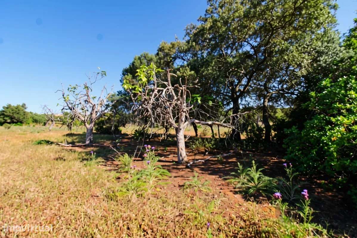 Dois terrenos rústicos planos, vendidos em conjunto, com 7120 m2-3