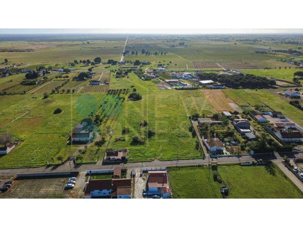 Construa duas casas num terreno único de 12.900m² em Arraiados-6