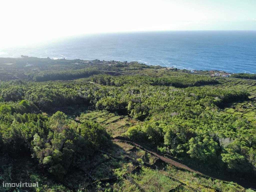 Terreno em zona típica da ilha do Pico com vista mar e montanha - Grande imagem: 2/20