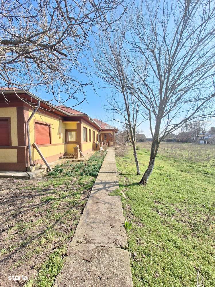 Casa 6 camere Frumusani teren 1341 mp caramida-17