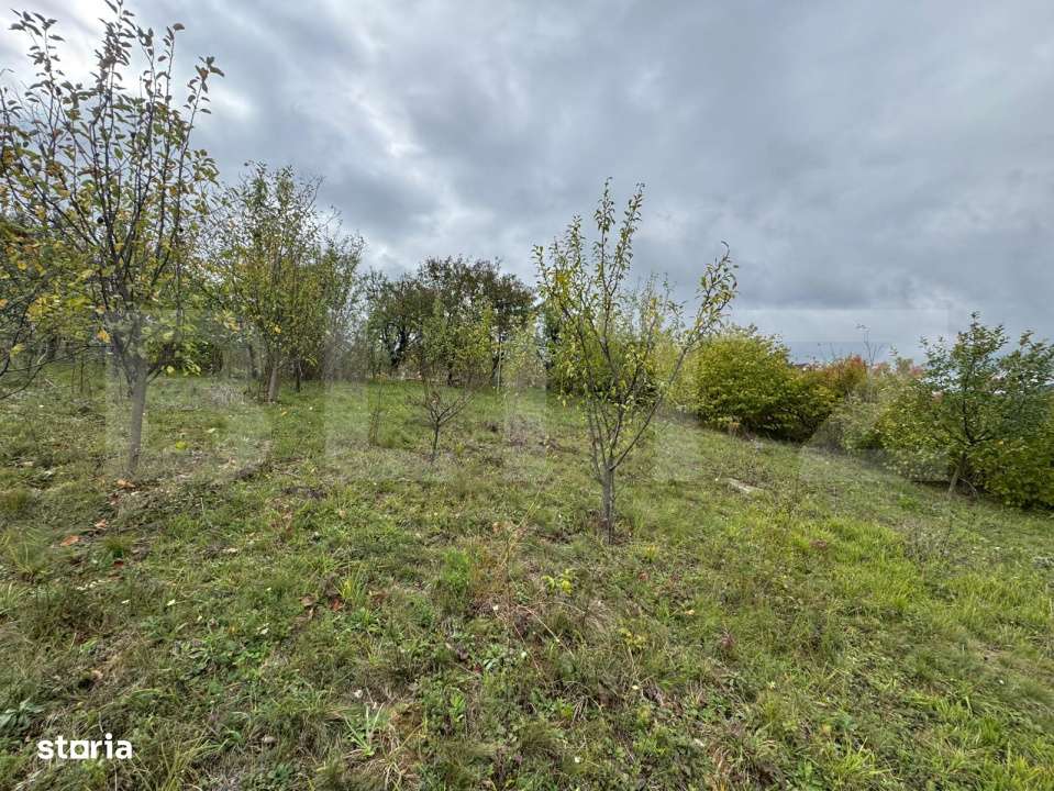 Teren intravilan 1200 mp, zona Zavoi - Imagine principală: 2/3