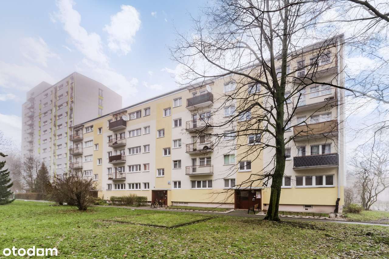 NOWOŚĆ! Wyjątkowe 2 pok. mieszkanie blisko CKD! Po kapitalnym remoncie-17