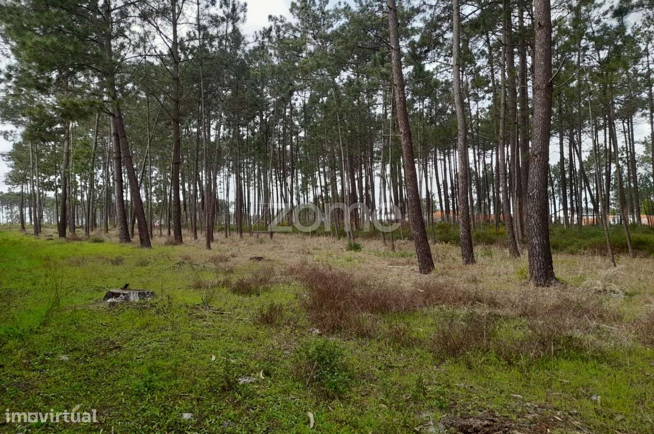 terreno rústico Brejo d'agua - Grande imagem: 4/21