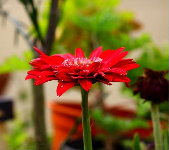 Profissionais - Empreendimentos: R.M.G. Mediação Imobiliária - Cascais e Estoril, Cascais, Lisboa