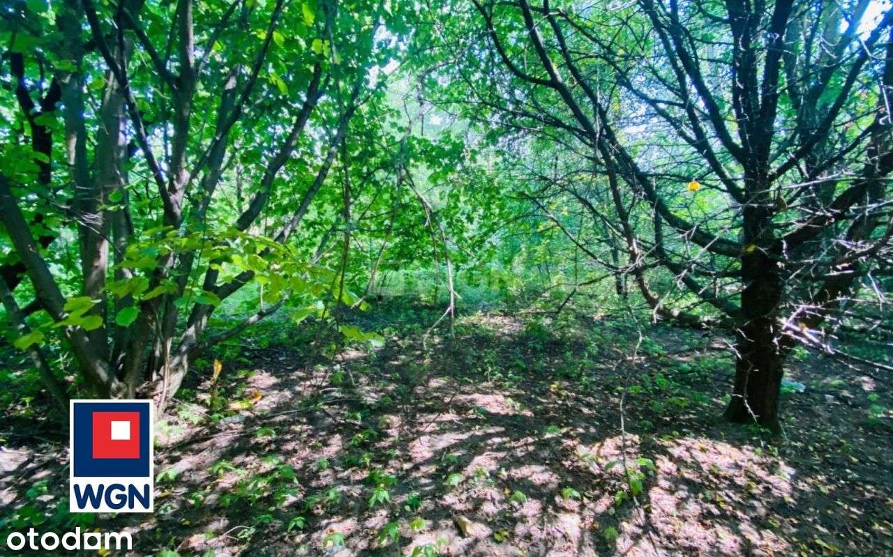 Klimatyczna działka przy lesie Kazimierz Górniczy-3