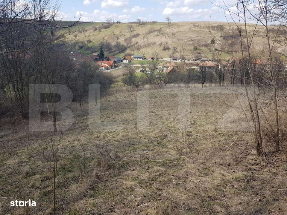 Teren intravilan, cu casa, 13800 mp, Suceagu - Imagine principală: 2/2