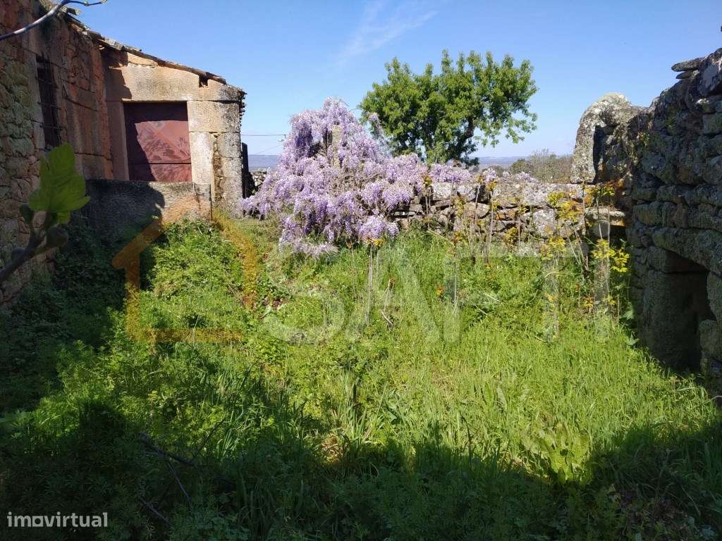 Quinta em Azêvo - Pinhel - Guarda - Grande imagem: 4/60