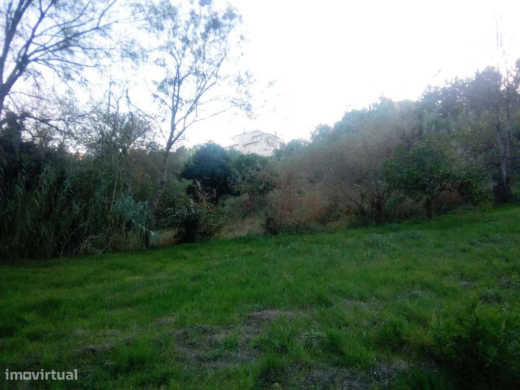 Terreno Agricola, Antuzede - Grande imagem: 5/6