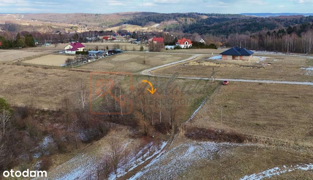 Straszydle Zimny Dział Działka Budowlana 25.5ar - Pełny obrazek: 4/10