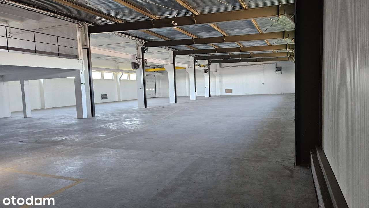 Hala na wynajem 1000 m² – Grudziądz, ul. Składowa, blisko A1! - Pełny obrazek: 4/10