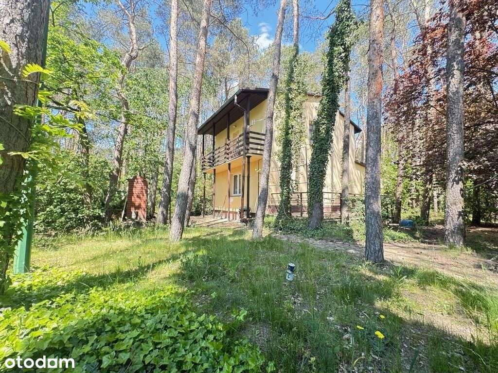 działka 2581m2 dom 100m2 w lesie-3