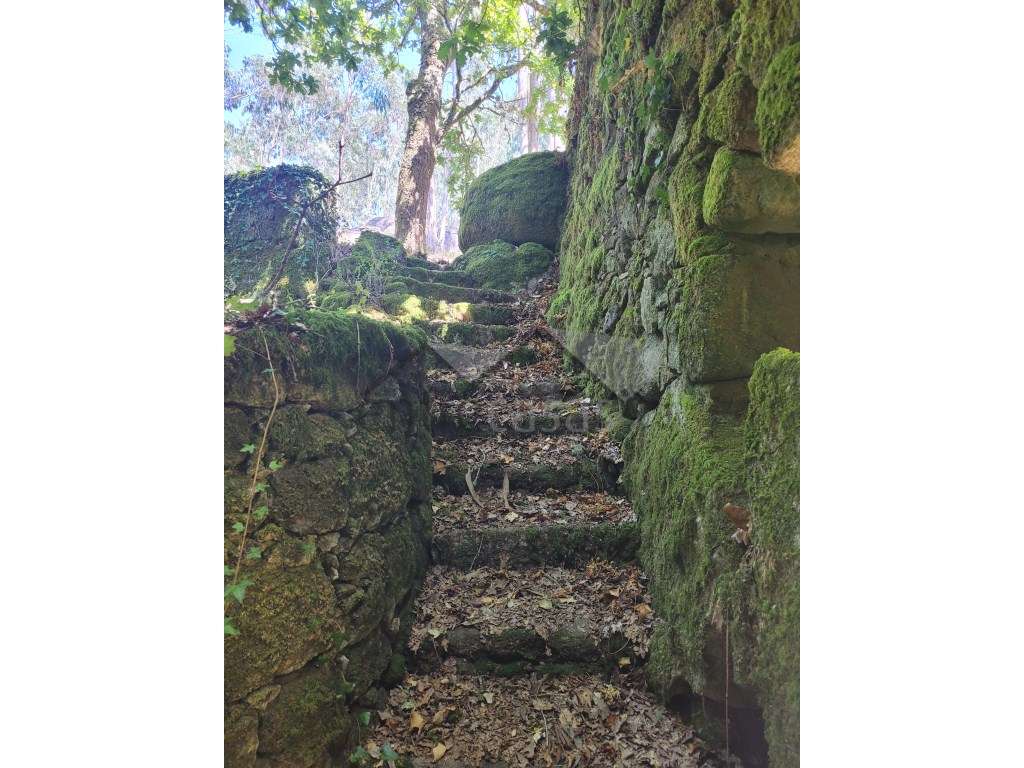 Casa em Ruínas - Refúgio Único em Plena Natureza-9