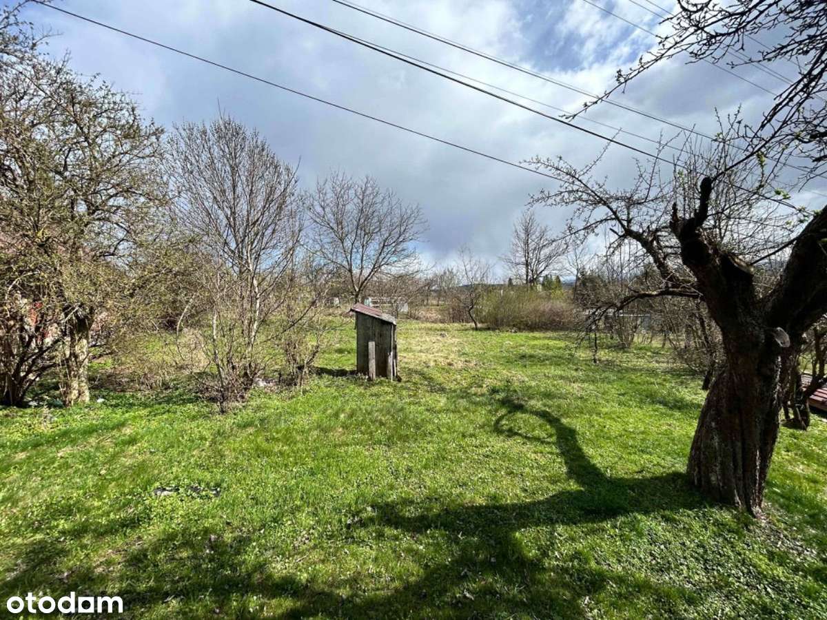 Kombornia, 10 ar - Urokliwa działka z domem i wido - Pełny obrazek: 4/10