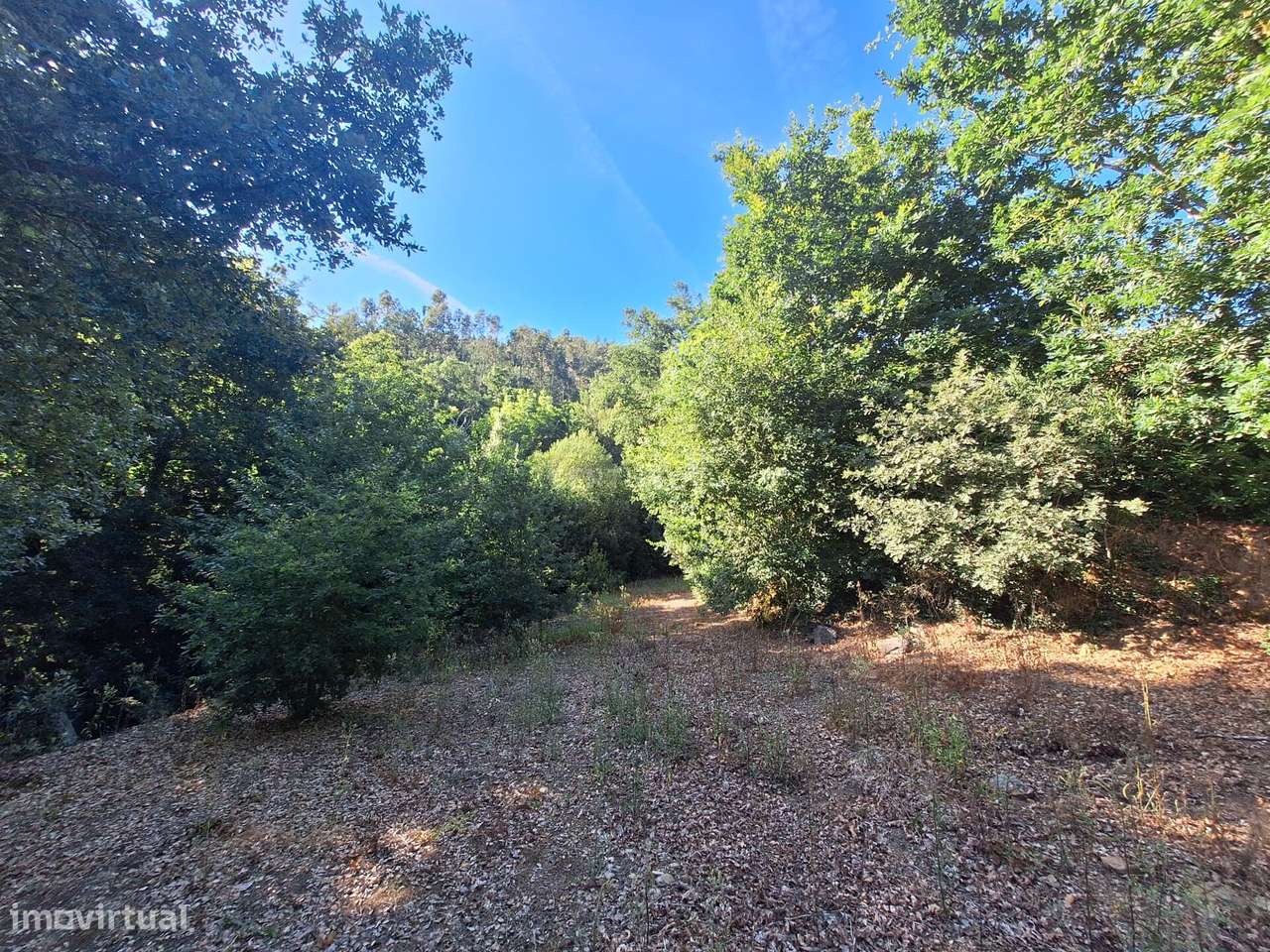 Terreno à Venda em Tropeço, Arouca - Grande imagem: 3/3