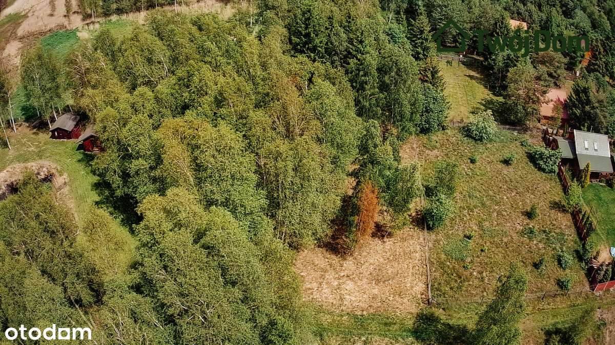 Nieruchomość gruntowa w Szczechach Małych - Pełny obrazek: 5/6