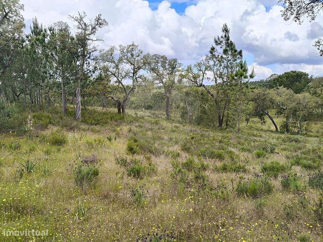 Terreno  para venda - Grande imagem: 5/15