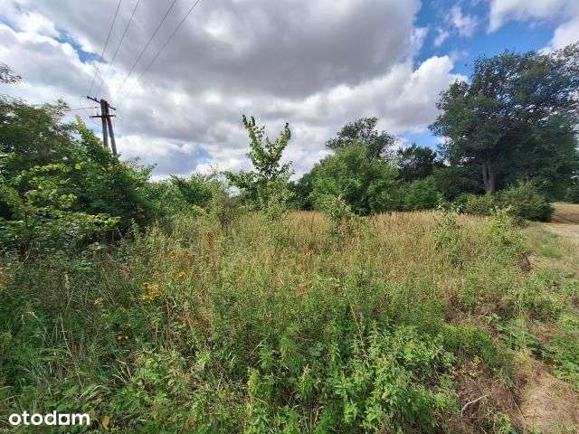 Działka, 4 240 m², Zglinna Duża-8