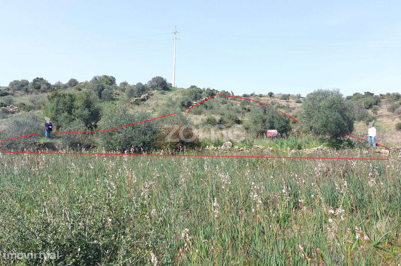 Terreno Rústico -Natureza, História e Tranquilidade na Terrugem Sin...-4