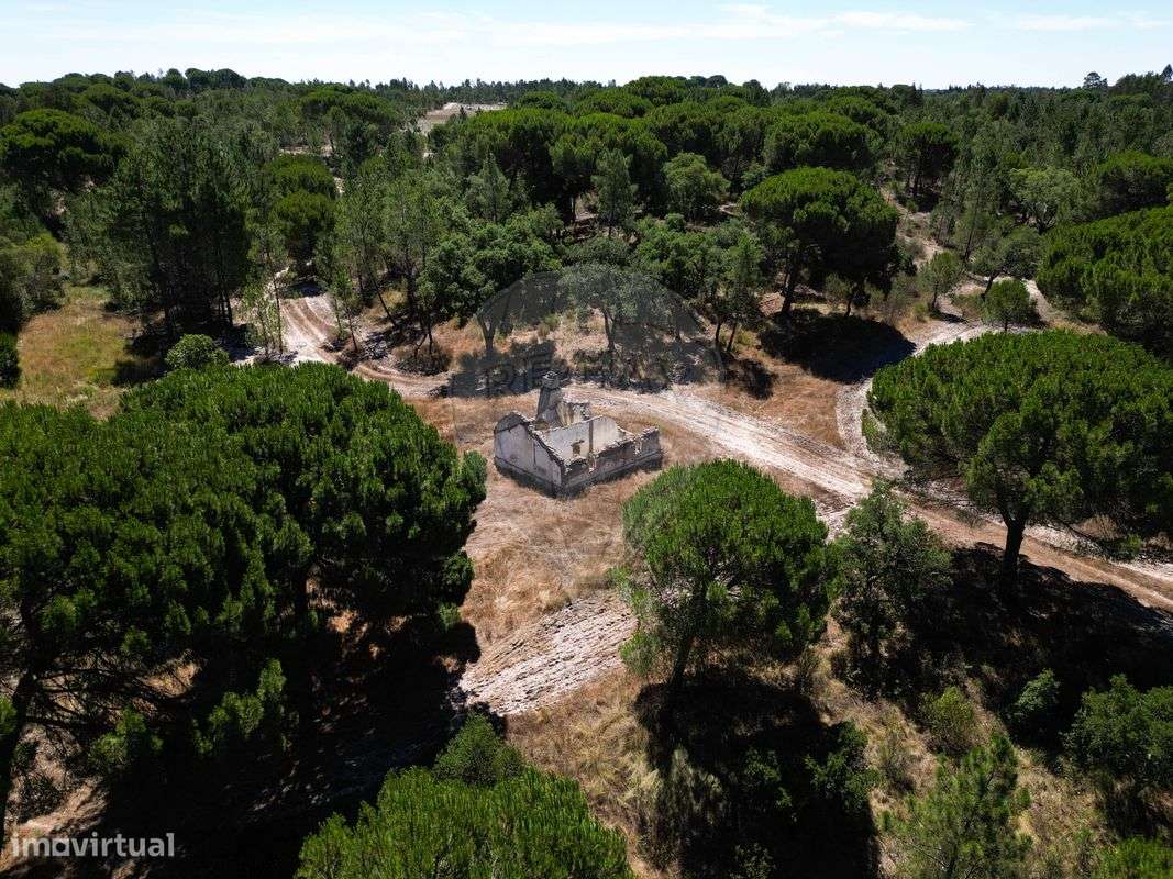 Quinta  para venda - Grande imagem: 5/11