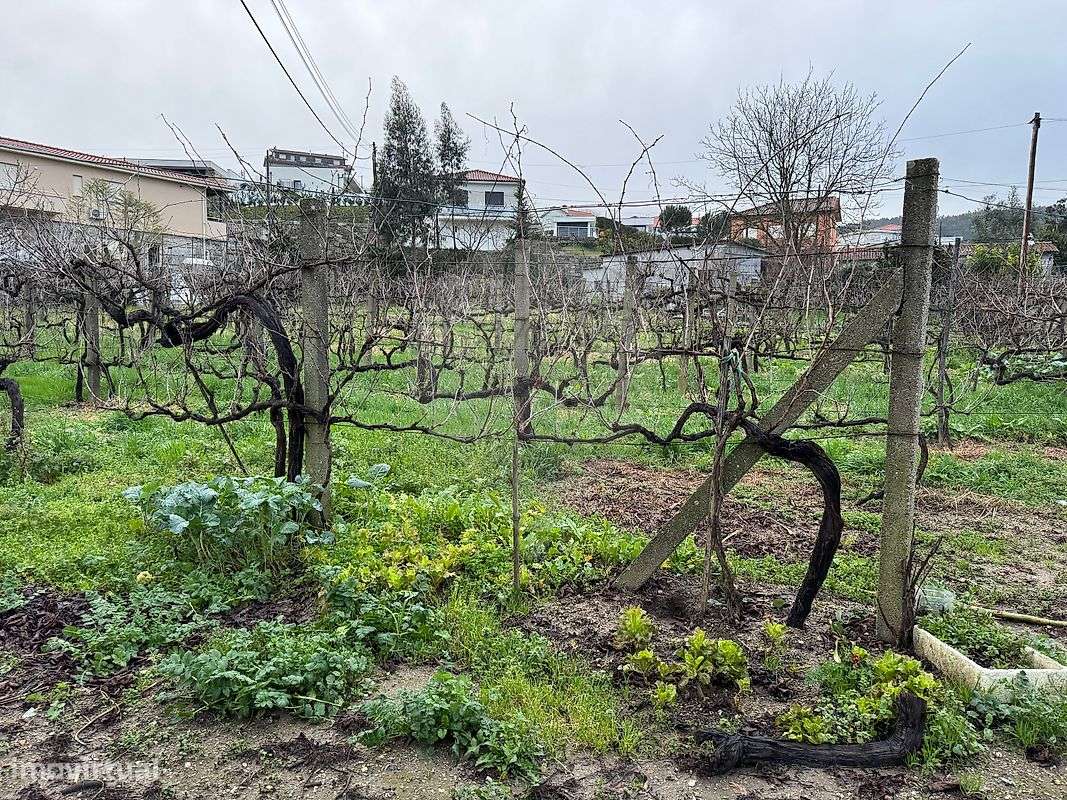 Terreno  para venda - Grande imagem: 5/7