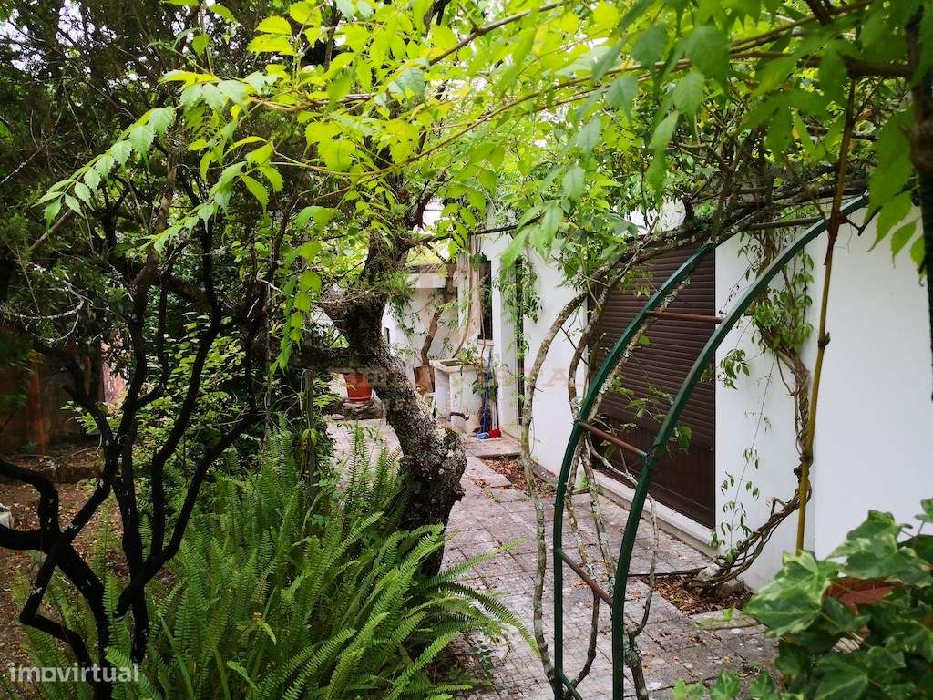 Oportunidade moradia charmosa T3 com lindo jardim - Ourém - Grande imagem: 4/21