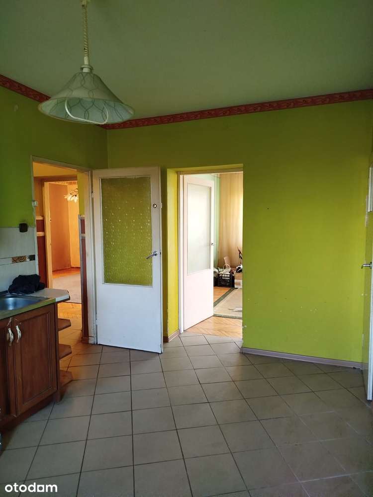 Dom wolnostojący/duża działka/blisko Mogilna-7