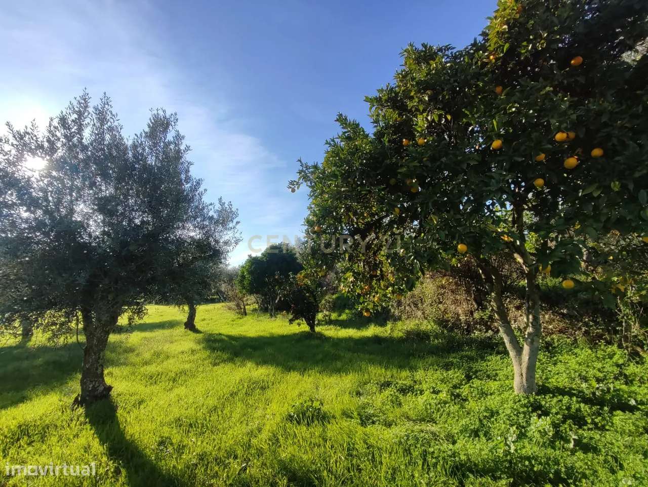 QUINTINHA no Louriçal do Campo, Castelo Branco - Grande imagem: 5/32