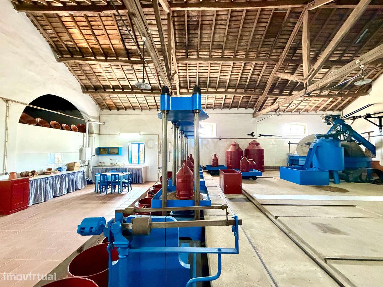 Herdade de Pandeira, Vinha e Olival em Produção em Reguengos de Monsar-15