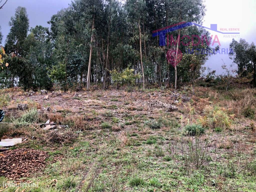 Terreno rústico com viabilidade de construção em Castanheira de Pera - Grande imagem: 5/10
