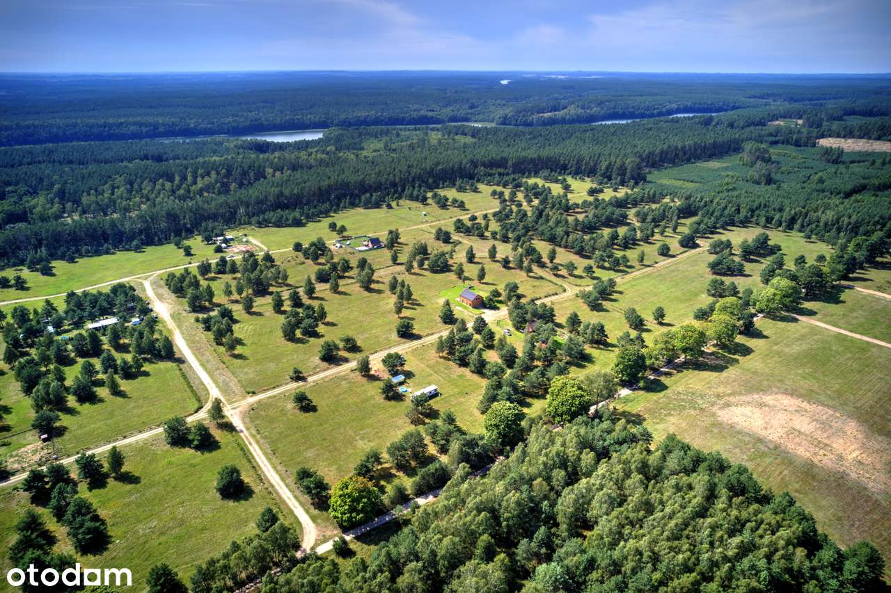 Na sprzedaż działka budowlana, Dołgie, spokojna okolica nad jeziorem - Pełny obrazek: 5/7