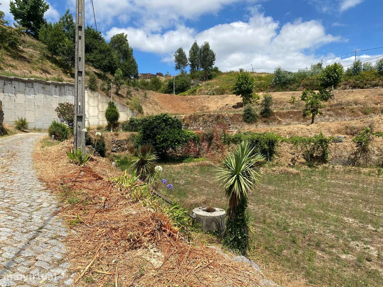 Quintinha com 26.155 m²  em Silvares Lousada - Grande imagem: 4/29