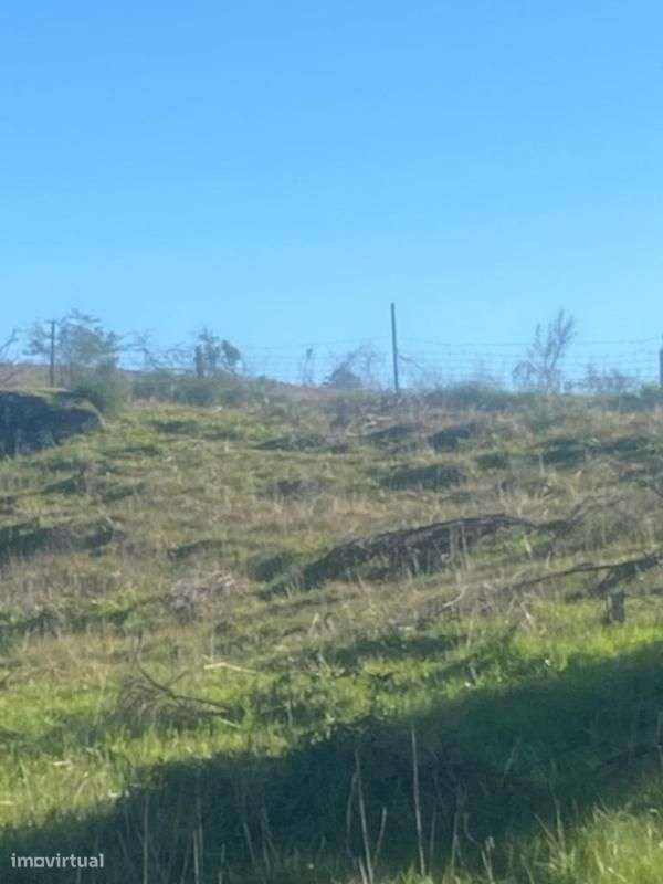 Quinta - Grande imagem: 4/10