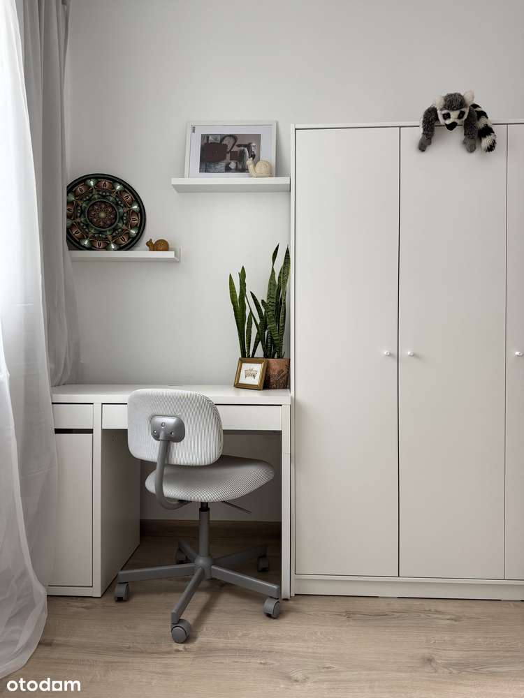 Świeżo po remoncie 2-pokojowe mieszkanie w zielonej dzielnicy - Pełny obrazek: 5/12