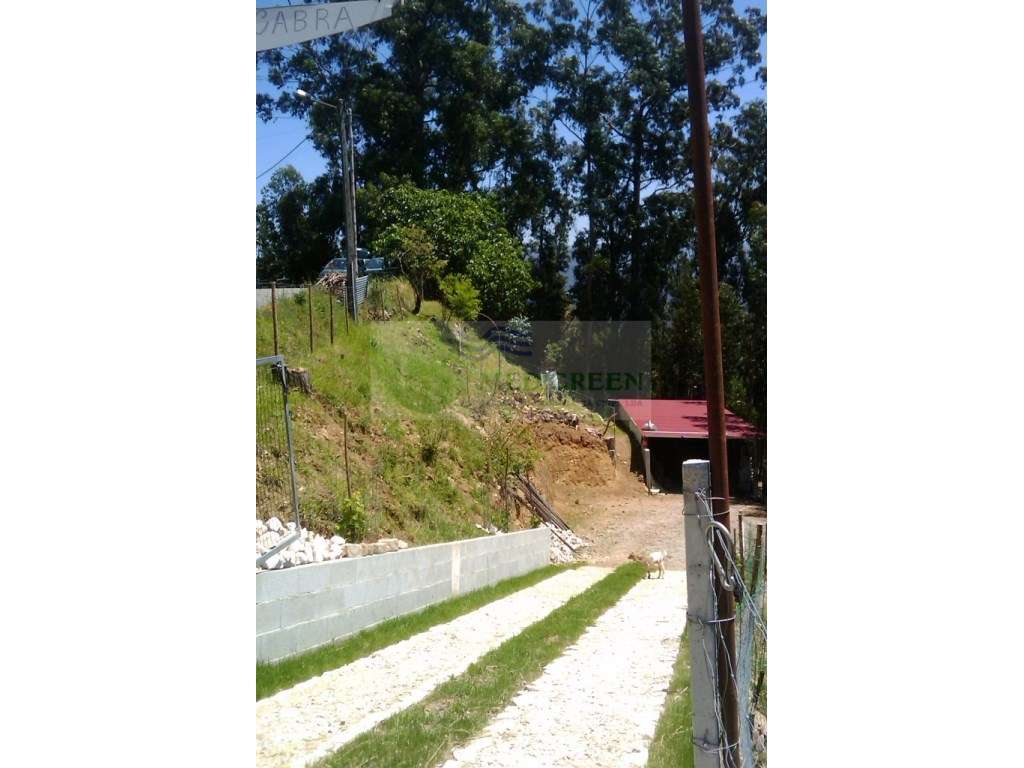TERRENO COM VIABILIDADE DE CONSTRUÇÃO EM SEVER DO VOUGA - Grande imagem: 4/5
