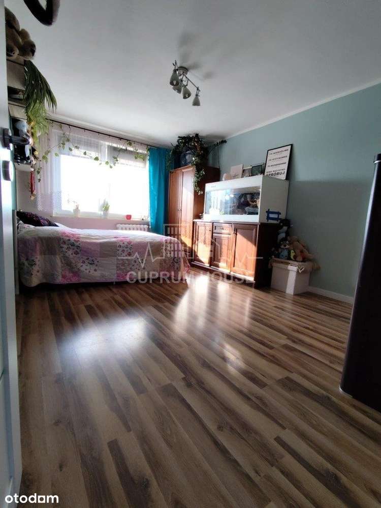 Dwa pokoje na wynajem w centrum miasta - Pełny obrazek: 4/8