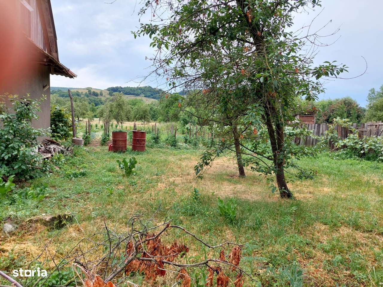 Vând Grădină de 2000 mp în Centrul Satului Cuzăplac la nr 249-9