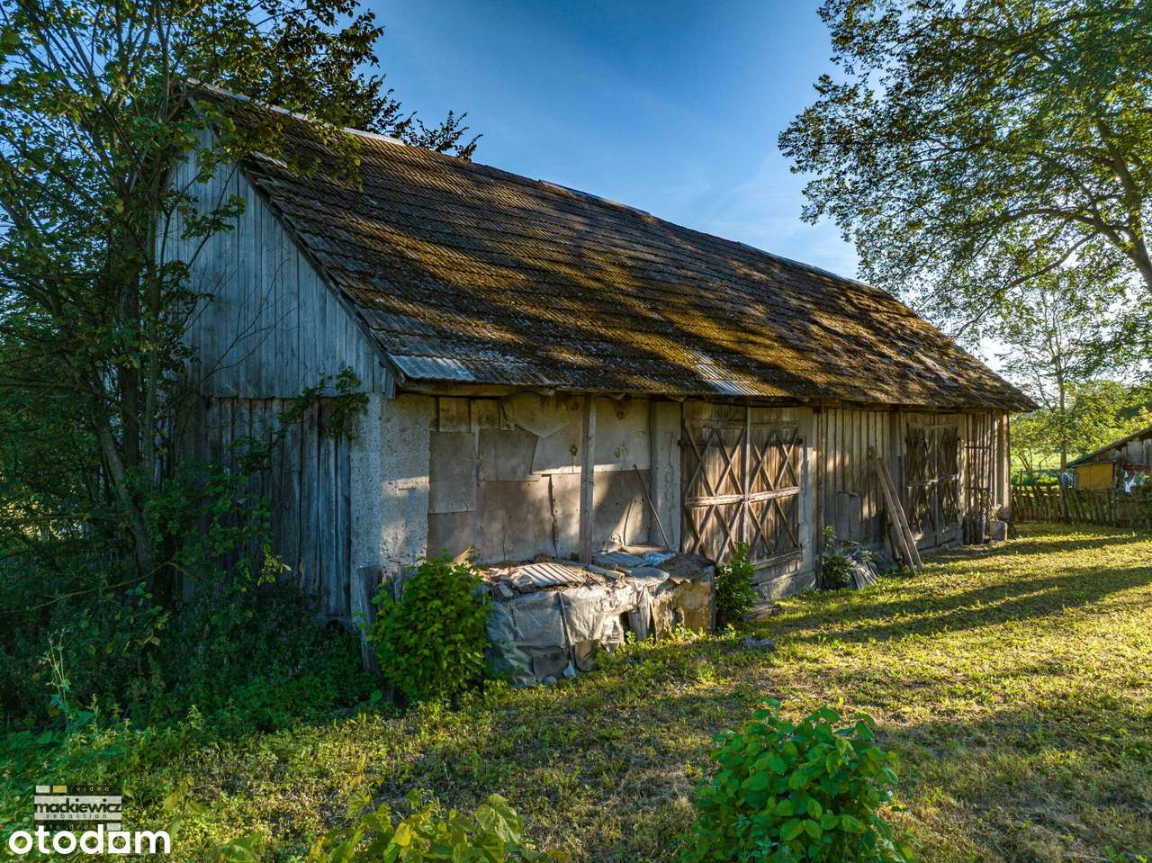 Siedlisko w miejscowości Cimanie, gmina Kuźnica Białostocka - Pełny obrazek: 4/10