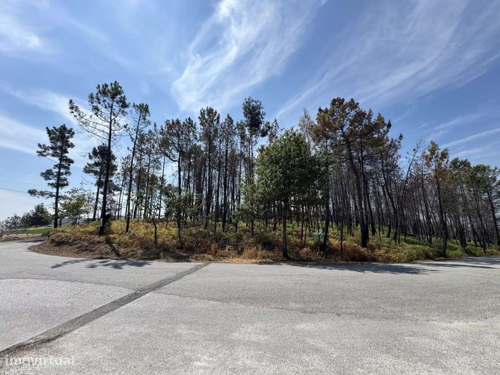 Terreno para venda em Mões - Castro Daire - Grande imagem: 5/10