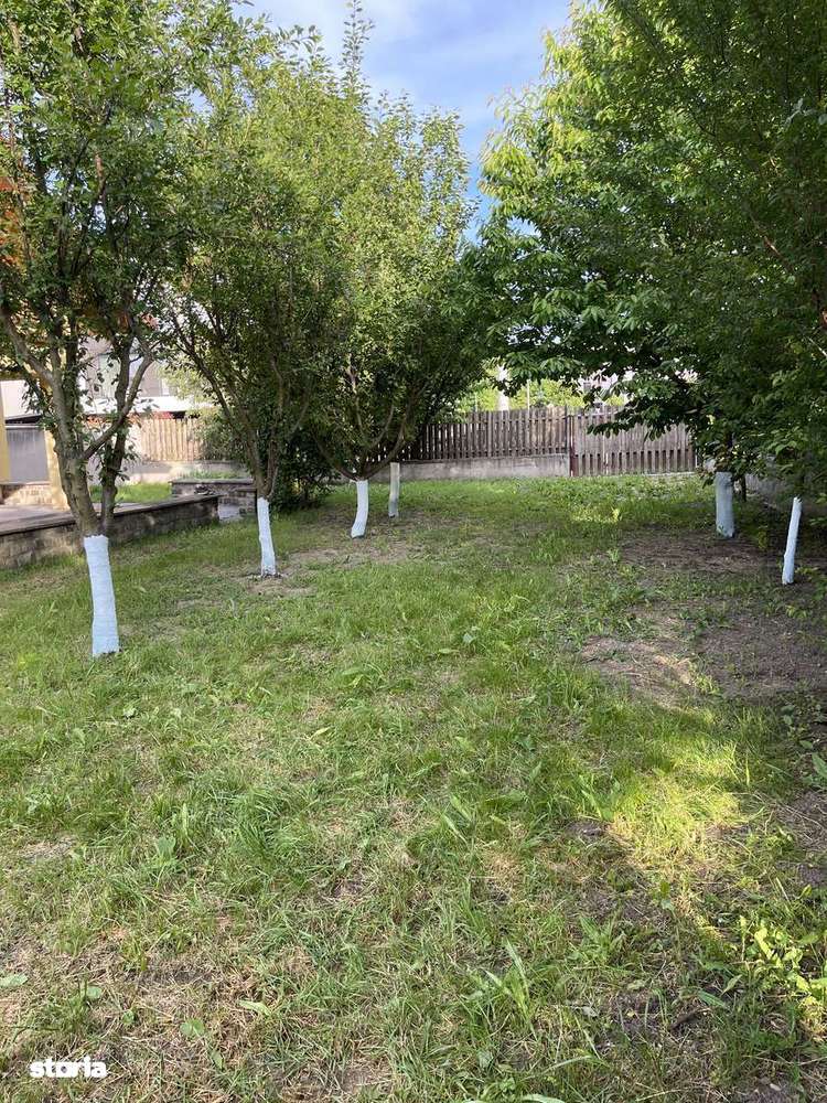 Închiriez casă , cartier Gheorgheni - Imagine principală: 4/20