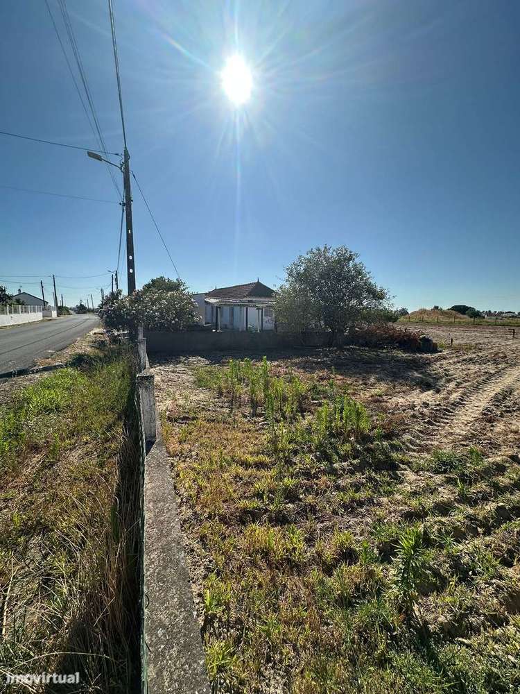 Quintinha com Moradia T2 em Foros Salvaterra-11