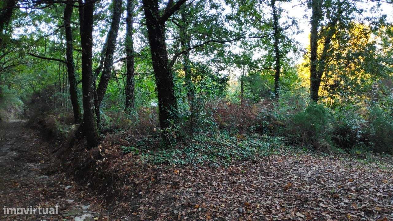 Terreno em Rendufe, Amares - Grande imagem: 5/12