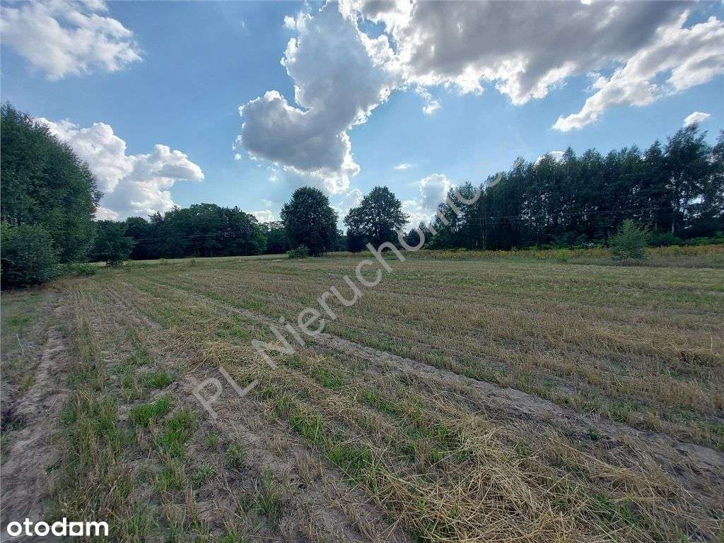 Wymiarowa Działka. Cisza I Spokój.-6