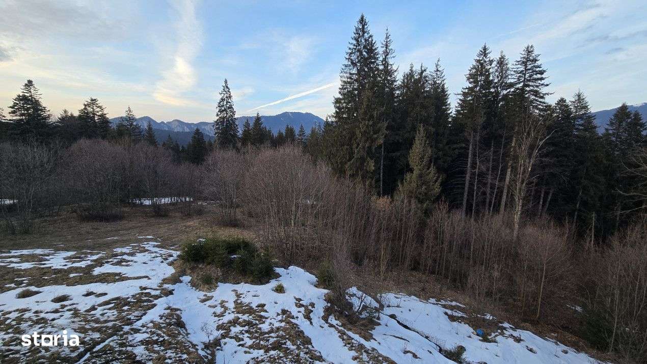 De vanzare pensiune Predeal-16