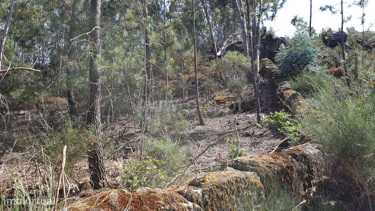Terreno rústico com 6.645 m2 em Cabeceiras de Basto - Grande imagem: 4/20