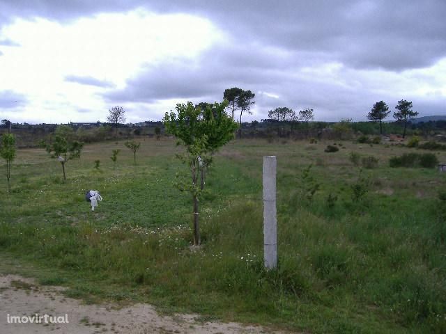 Terreno com 3500 mts