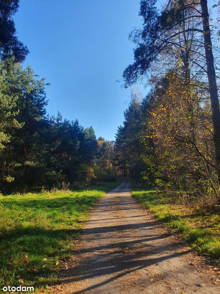 Znajdź swoje miejsce na Ziemi niedaleko Wrocławia-5