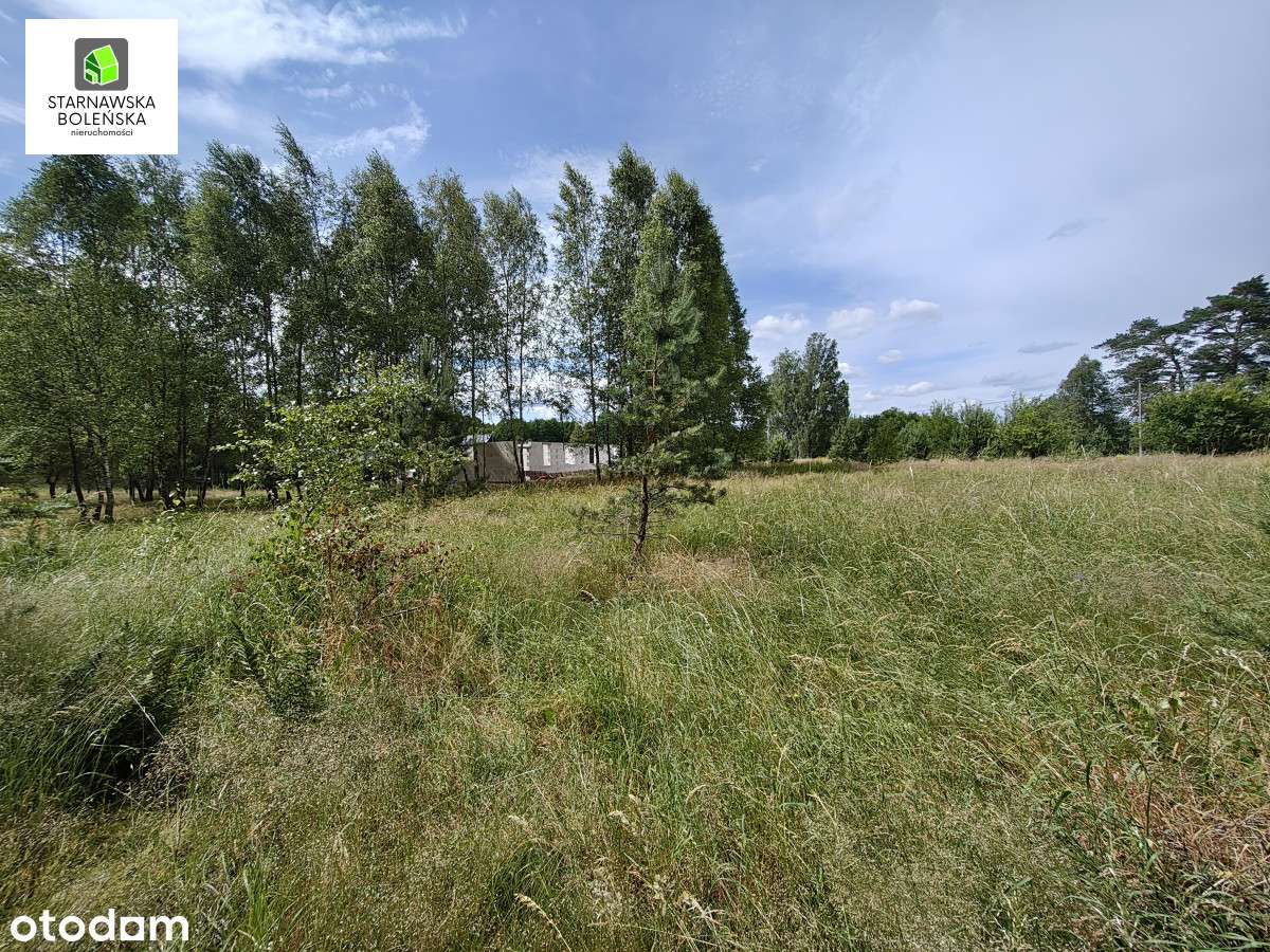 Działka przy jeziorze Smolnik (gm.Kaliska) - Pełny obrazek: 4/16