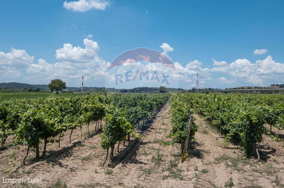 Terreno  para venda - Grande imagem: 3/7