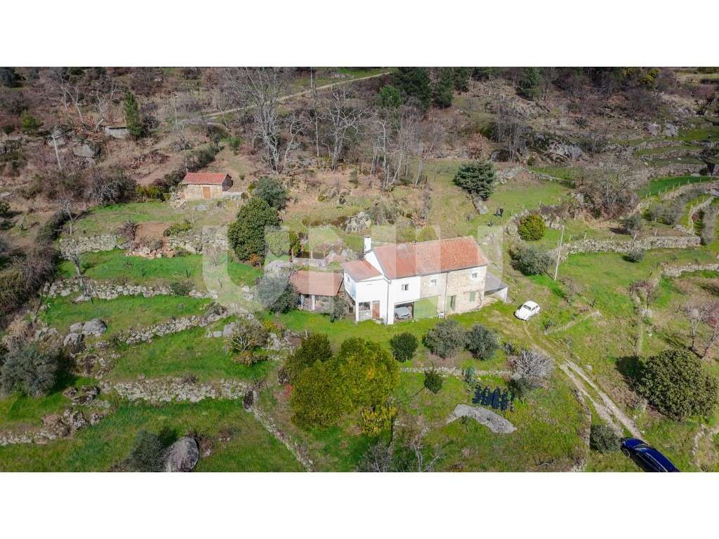 Quinta T2 com Habitação, Infraestruturas Agrícolas e Terreno com Vi...-47